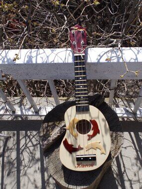 Brand New Dolphin Ukulele